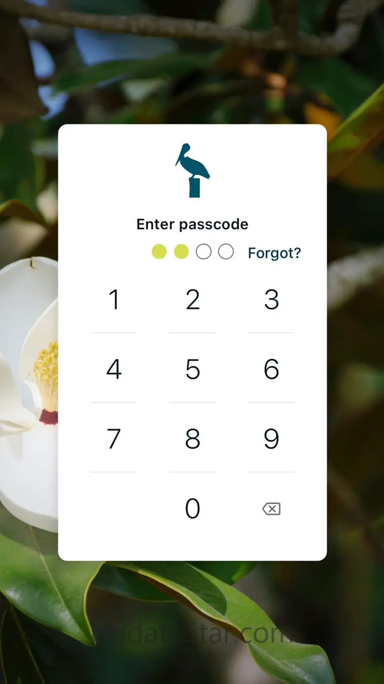 MyPelican 3.13.1