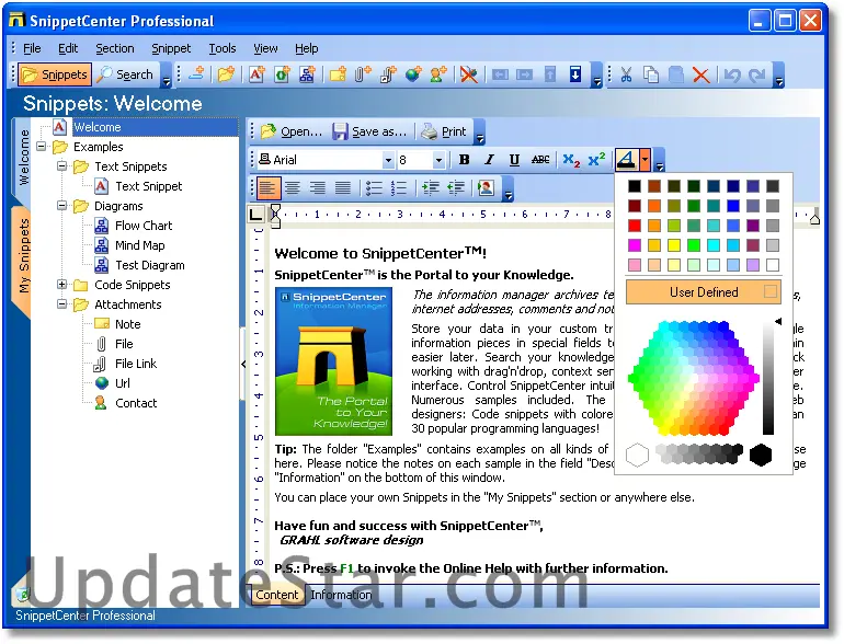 SnippetCenter Professional 2.1.0.60