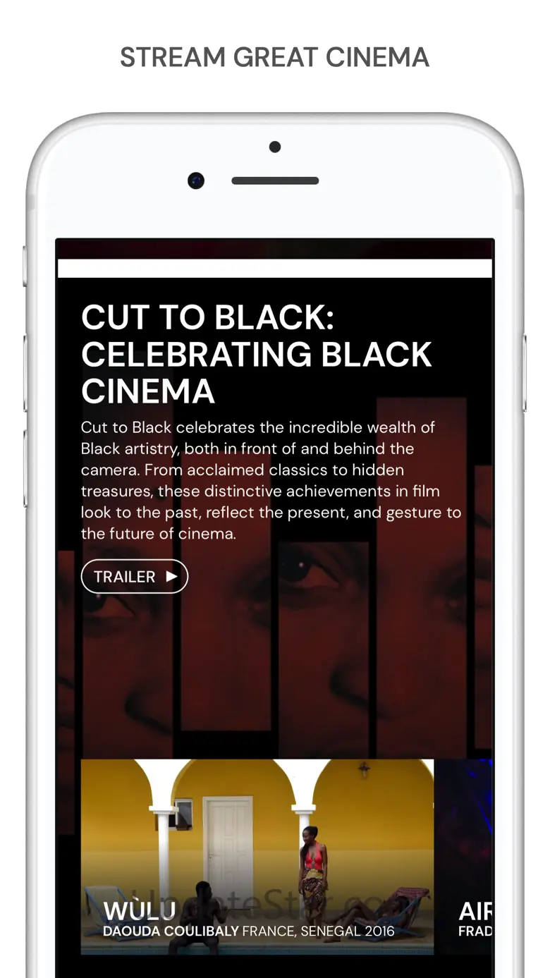 MUBI: Stream Great Cinema 45.0