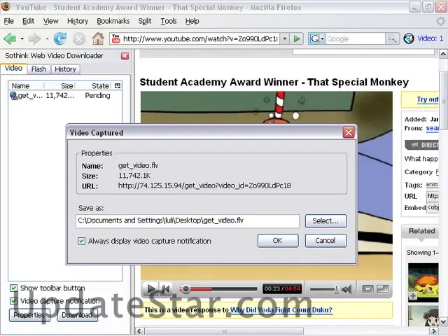 Sothink Web Video Downloader for Firefox 4.5.80718