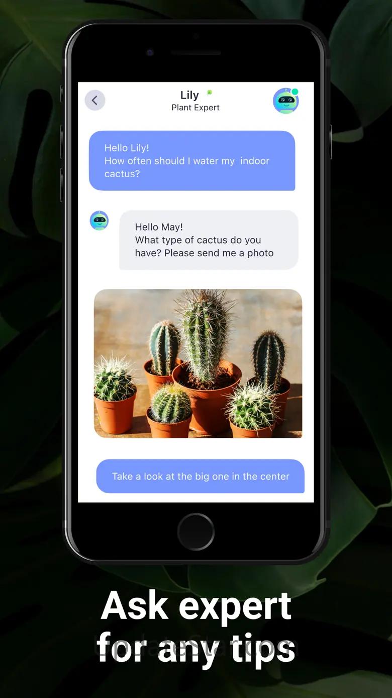 Plant identifier & Care－Lily 1.19.0