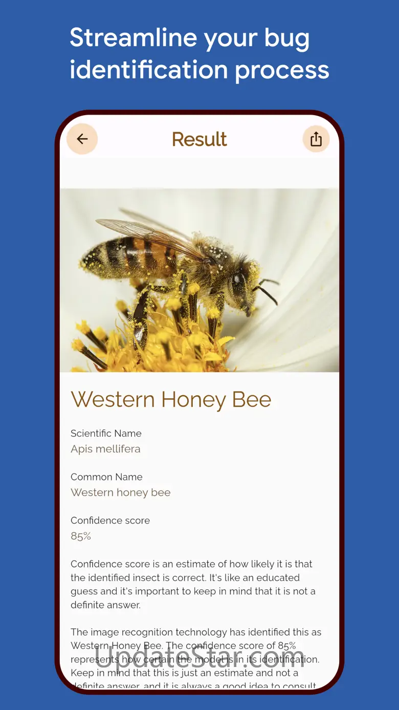 Bug Identifier: Bugs, Spiders 50.0.0
