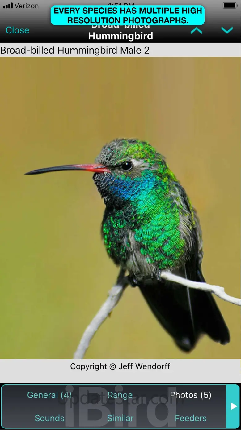 iBird Pro Guide to Birds 13.5.1