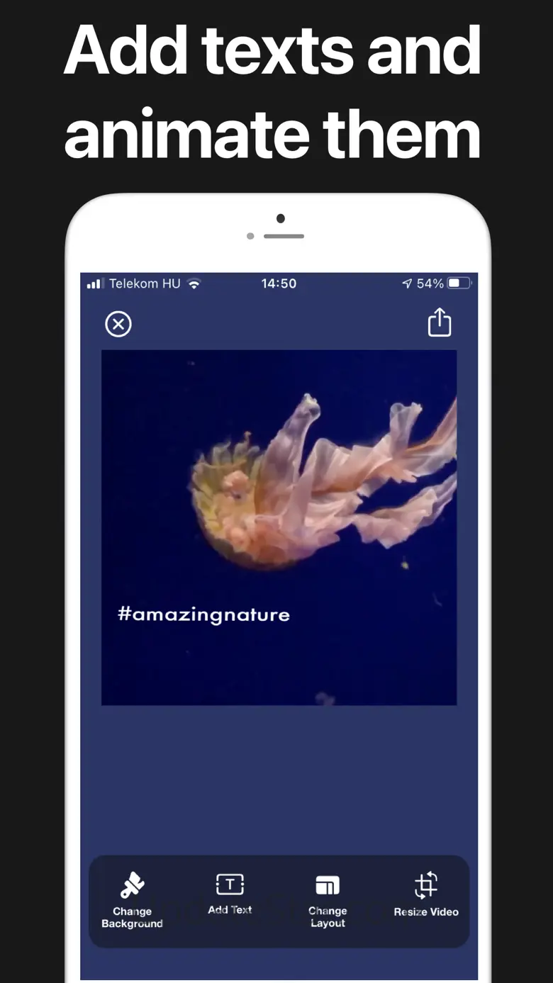 Video Resizer Subtitles Maker 2.0.6