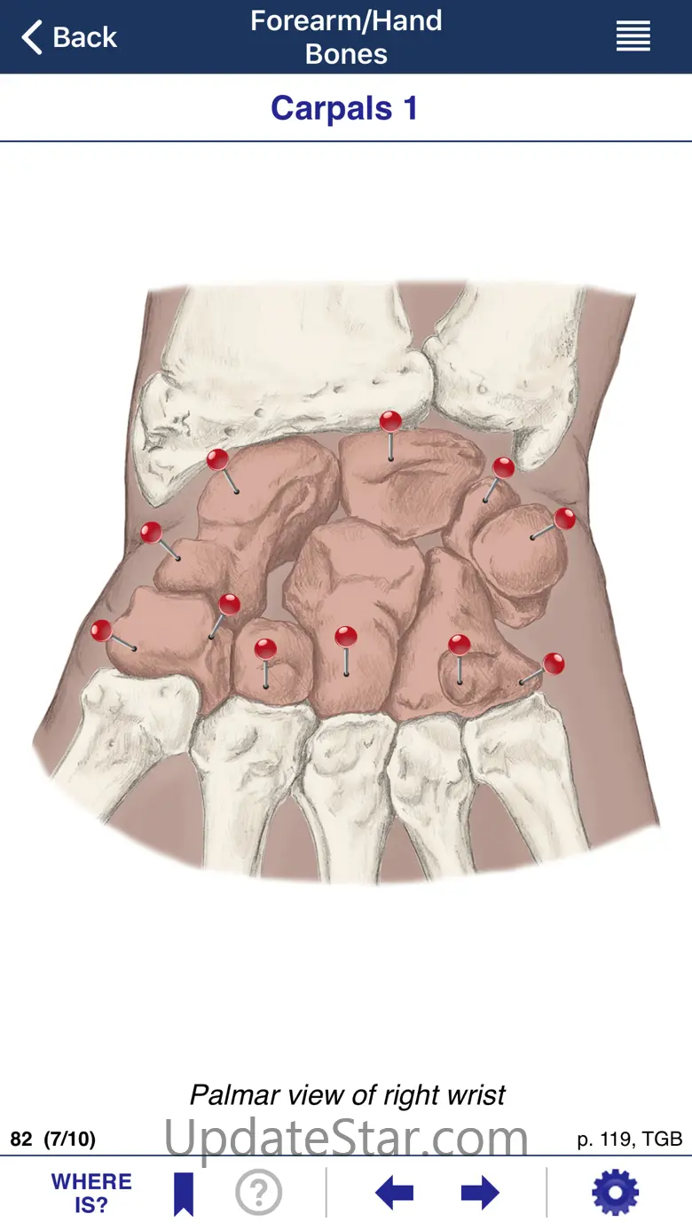 AnatomyMapp 158