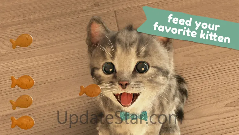 Little Kitten Favorite Pet Cat 4.6