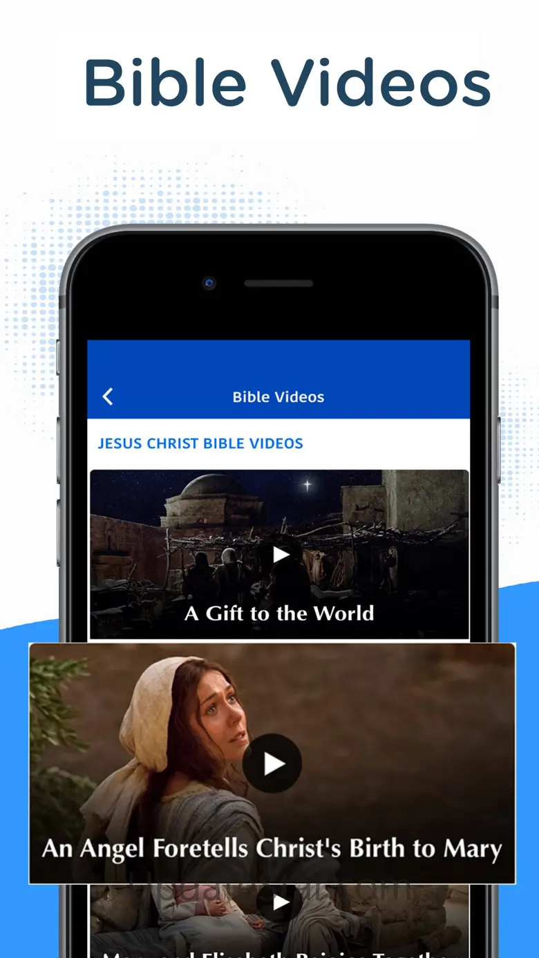 The Amplified Bible (AMP) 3.6