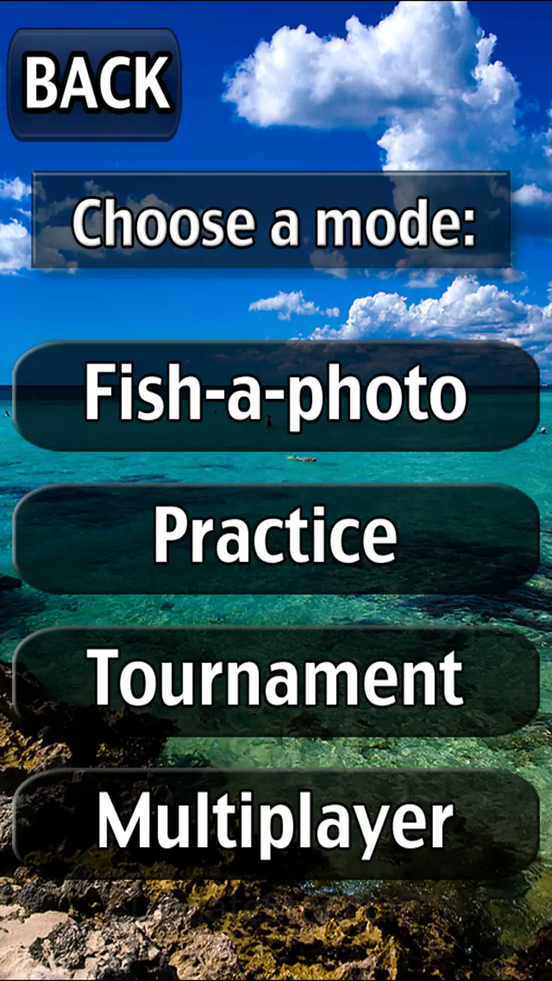 i Fishing Saltwater Lite 6.3