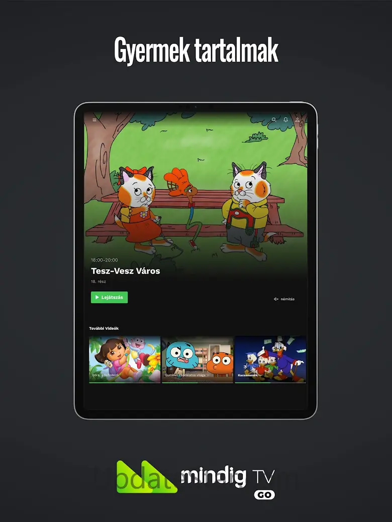 mindigTV GO 6.4.5