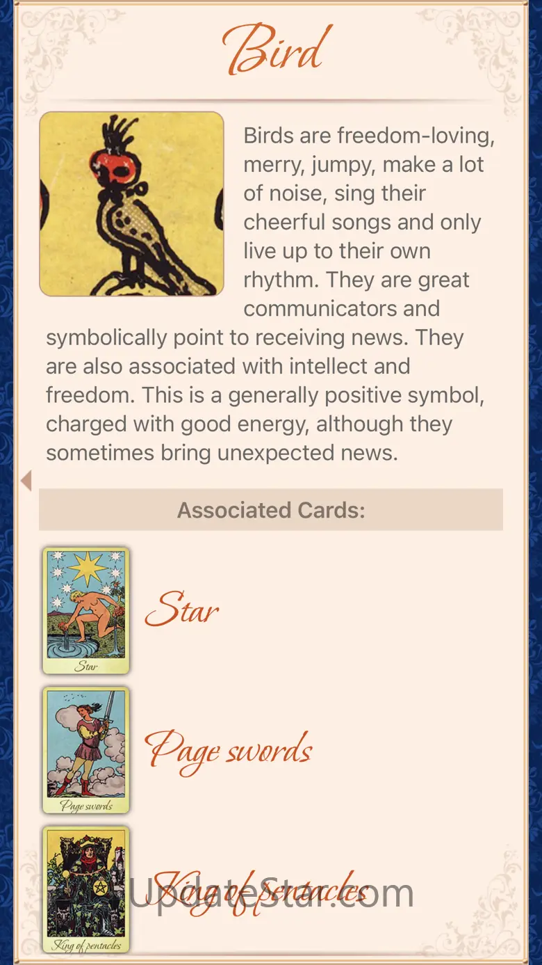 Tarot Universe - Card Reading 24.11.28