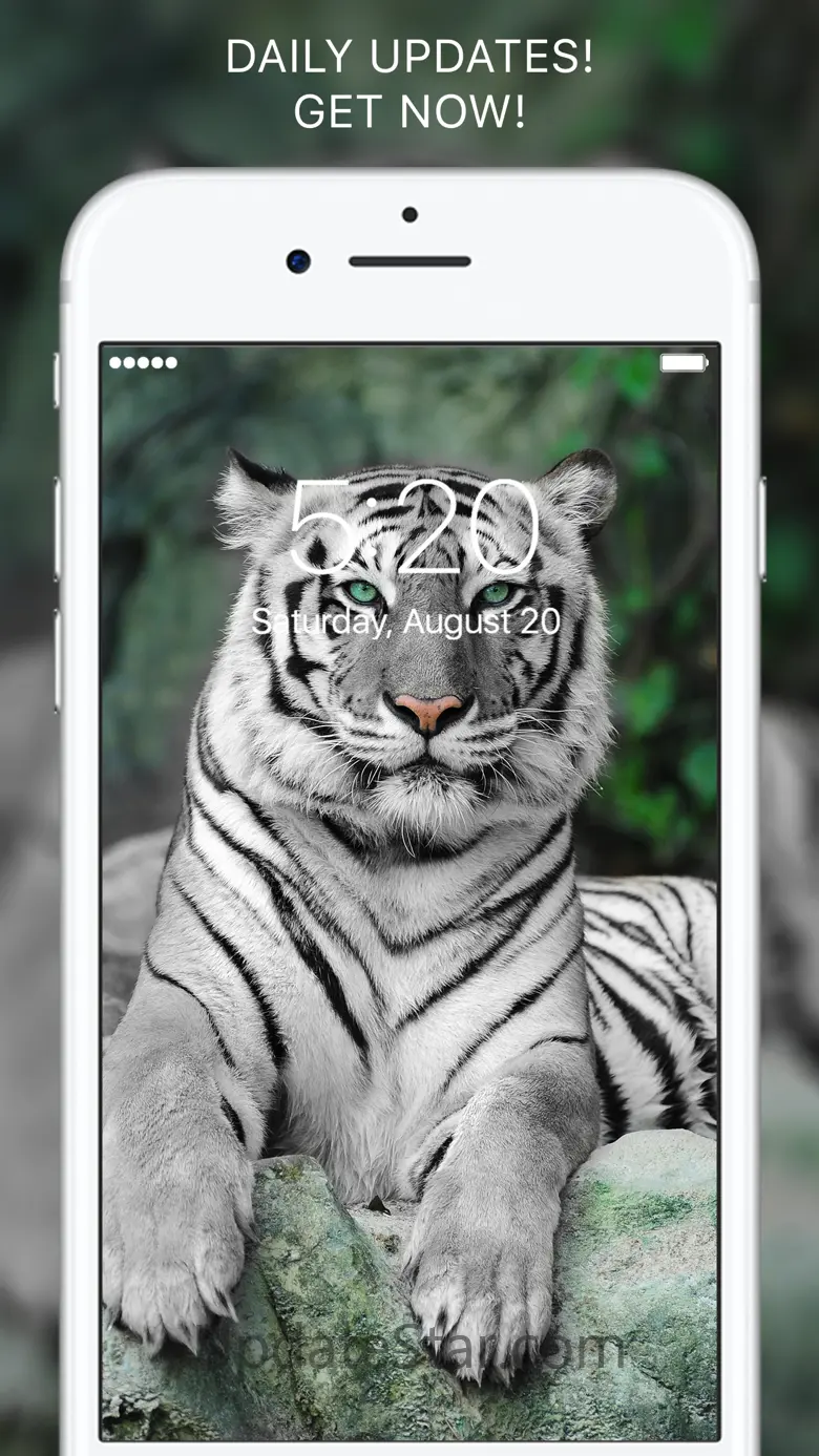 Everpix Pro - HD Wallpapers 3.3.4