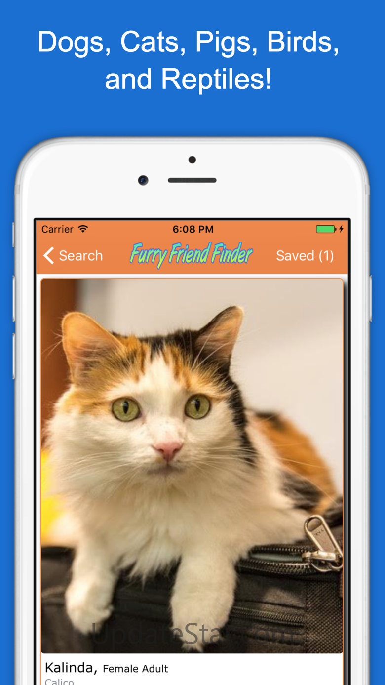 Furry Friend Finder Pet Rescue 2.5