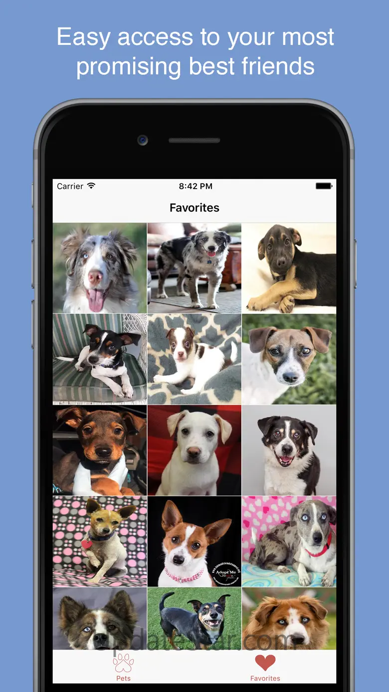 Pet Search - Adopt a Pet 2.2.0