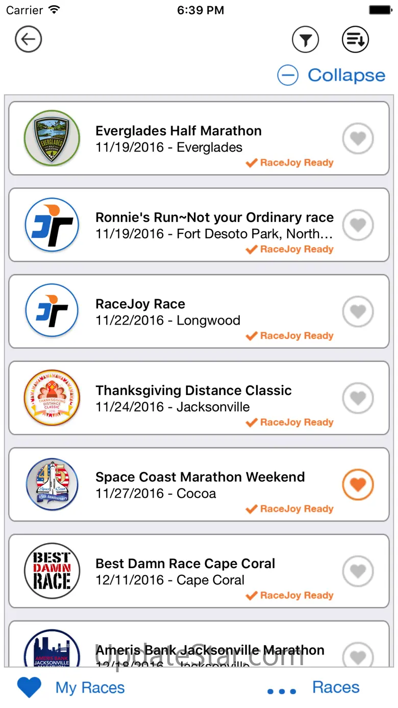 RaceJoy 3.1.151