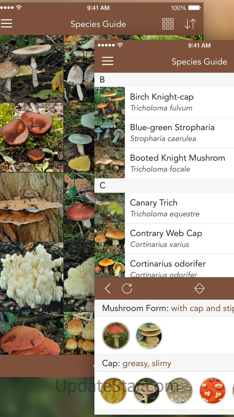 Mushroom LITE - Field Guide 4.7.0