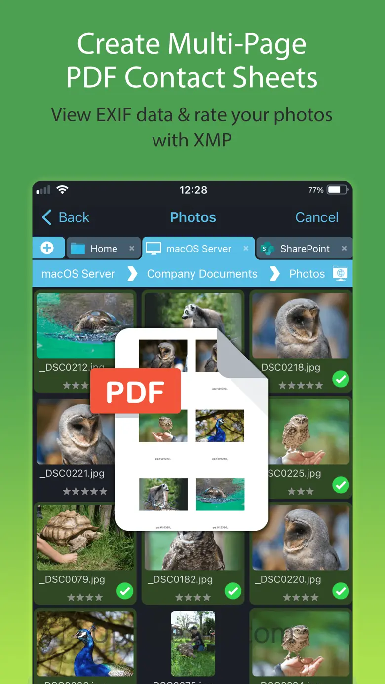 FileBrowser Professional 24.7