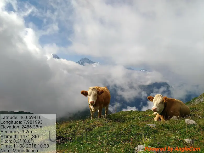AngleCam Lite - Angular Camera 5.21