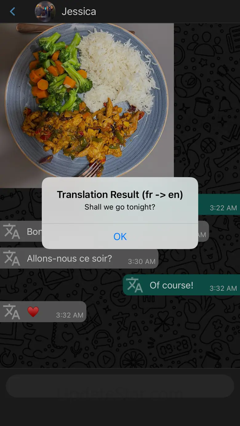 Chat Offline Plus No Last Seen 0.1.1