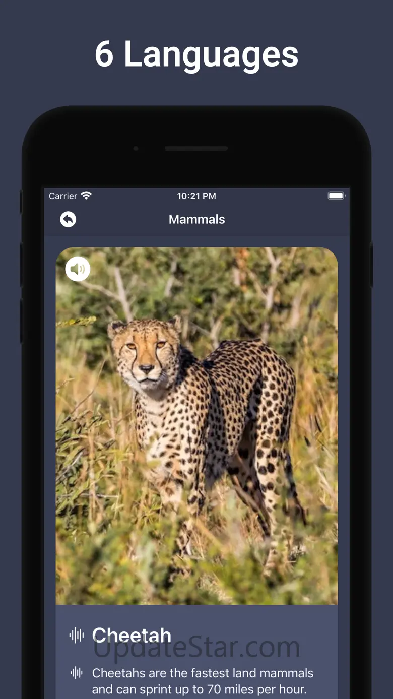 Animal Sounds & Bird Noises 3.4.5