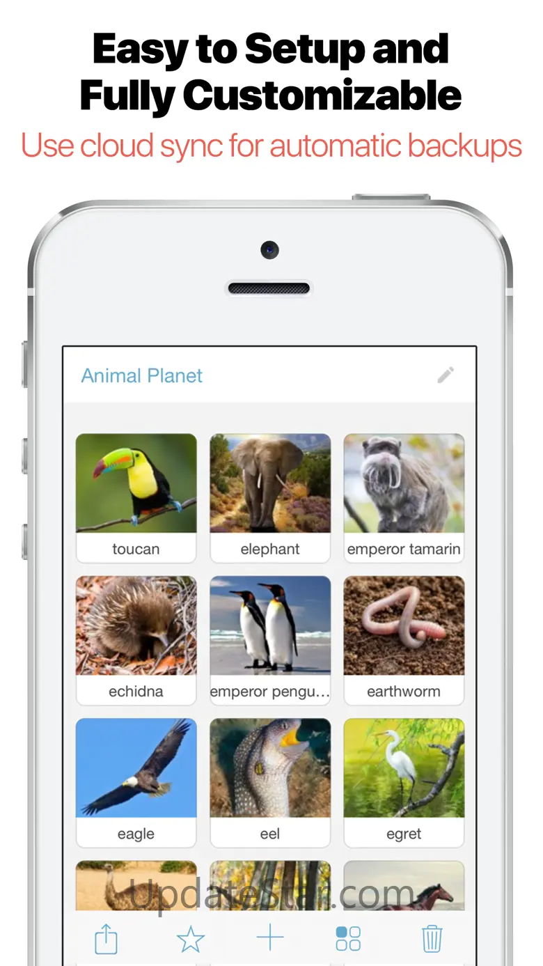 Bitsboard Flashcards & Games 40.7