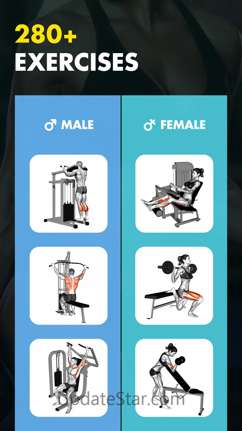 Gym Workout My Fitness Planner 1.3