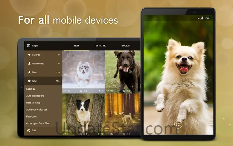Dog Wallpapers & Puppy 4K 6.0.0