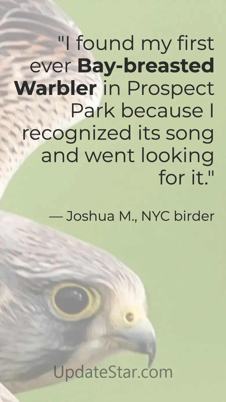 Learn Bird Watching—Larkwire 4.43