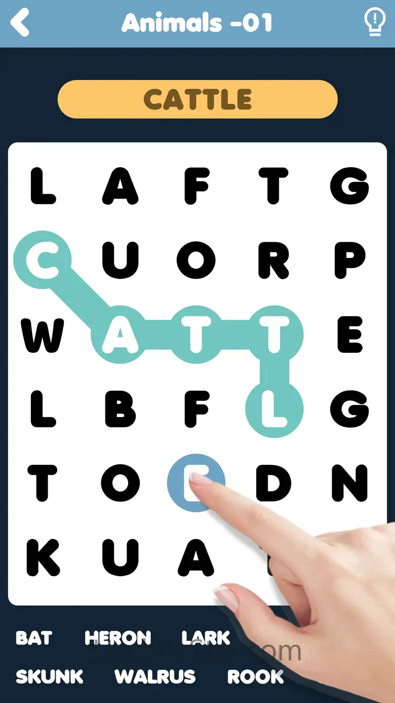 Word Search ․ 1.1