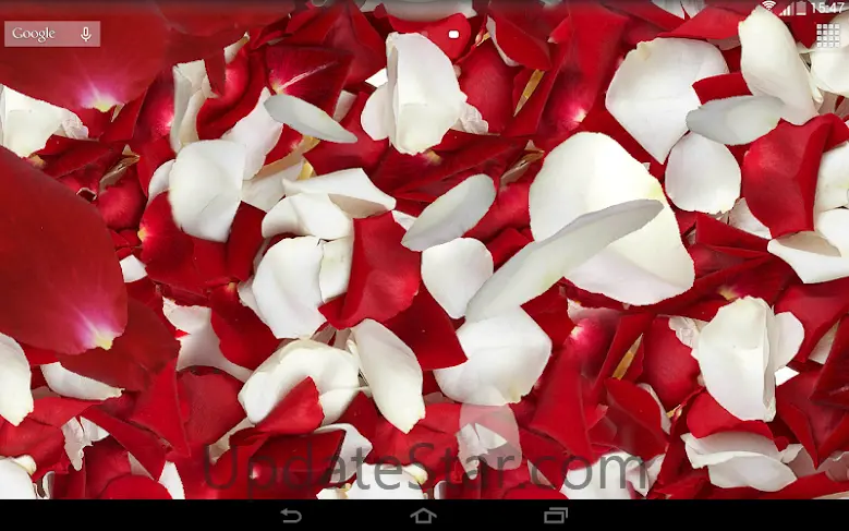 Petals 3D live wallpaper 3.2.1