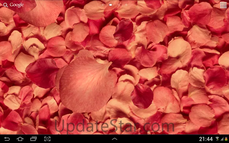 Petals 3D live wallpaper 3.2.1