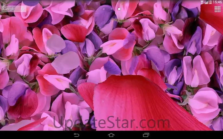 Petals 3D live wallpaper 3.2.1