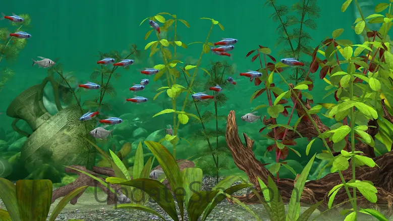 Fish Farm 3 - Aquarium 1.18.9