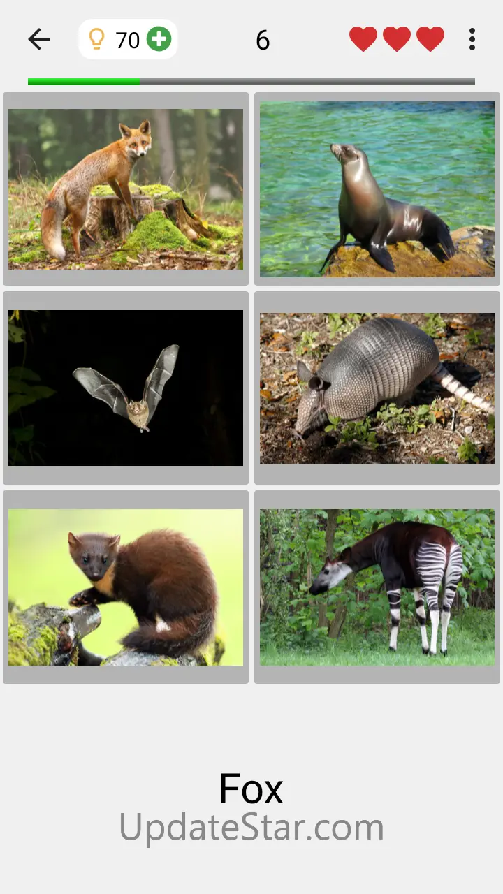 Animals Quiz Learn All Mammals 3.8.0
