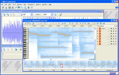 WIDI Recognition System Standard 3.31