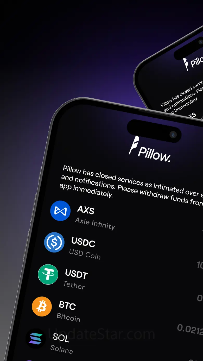 Pillow Fund: Invest in Dollars 5.0