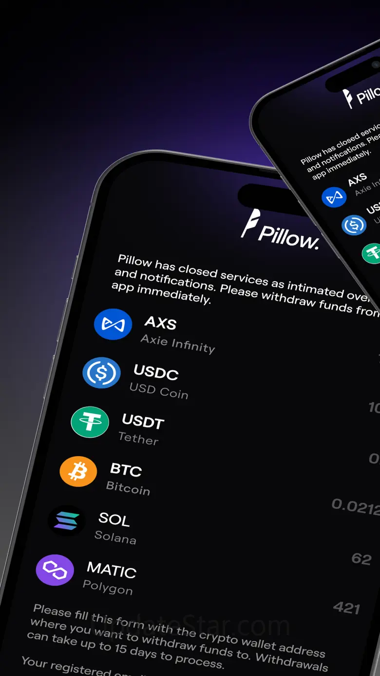 Pillow Fund: Invest in Dollars 5.0