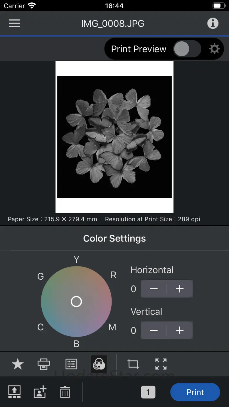 Epson Print Layout