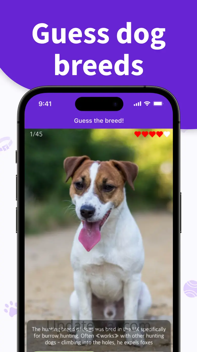 Dog Breeds Training Games Life 1.9
