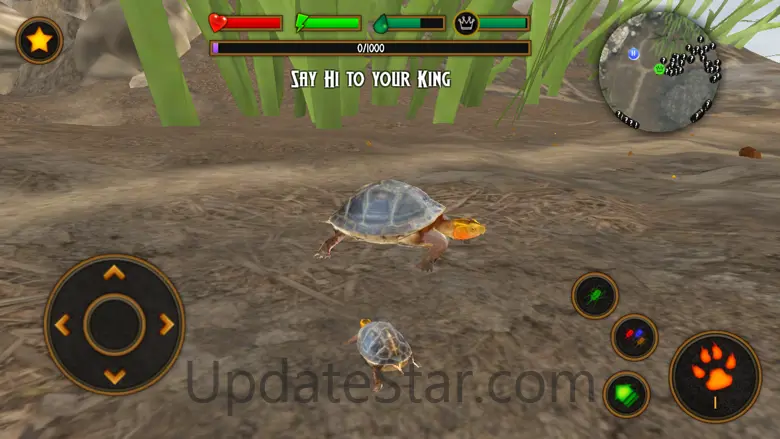 Box Turtle Simulator 1.1