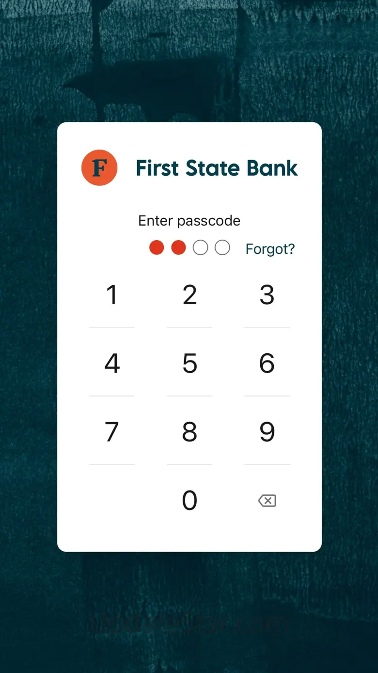 First State Bank 3.13.1