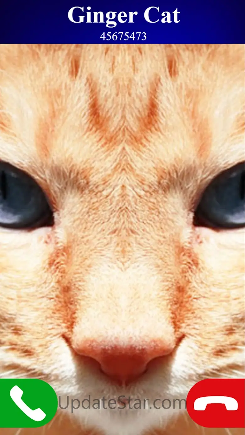 fake call cat game 6.0