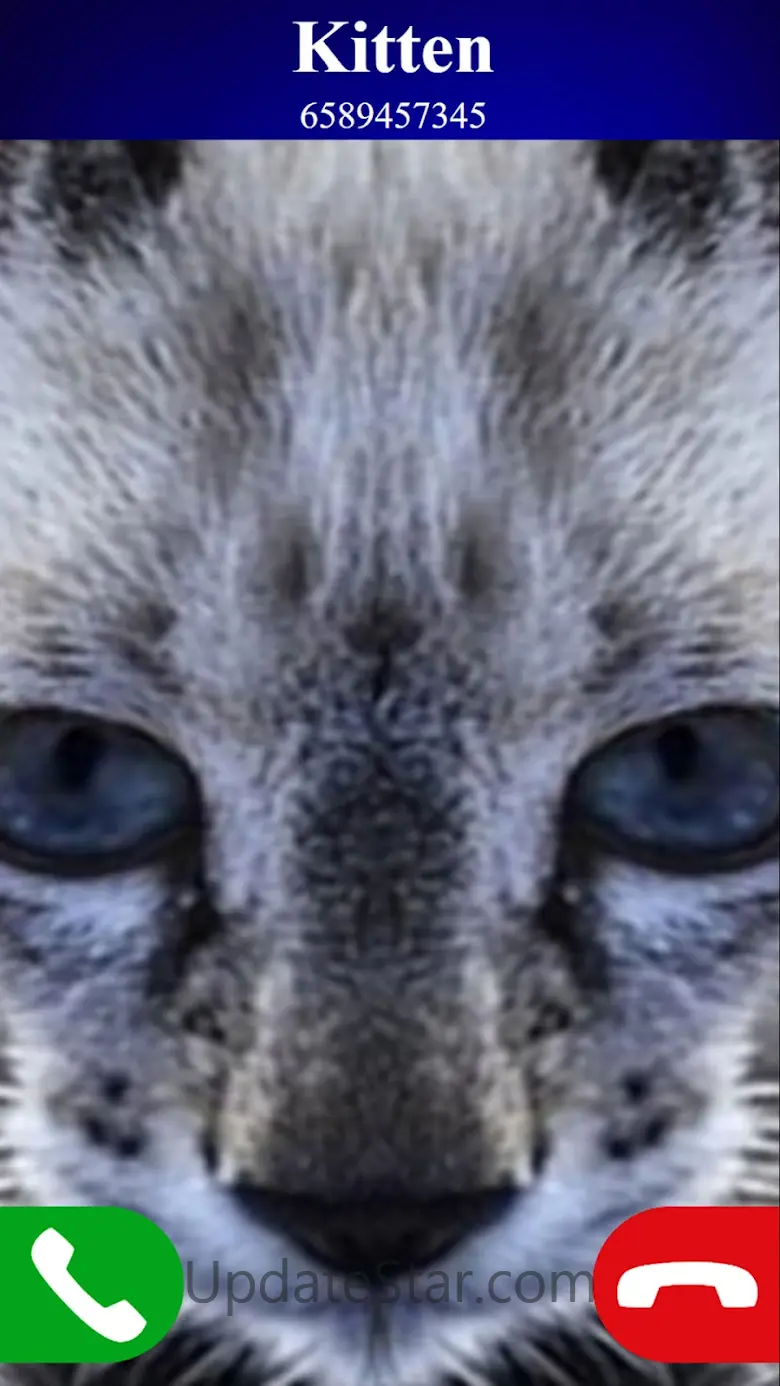 fake call cat game 6.0