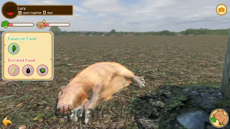 Capybara Spa 2.6.2