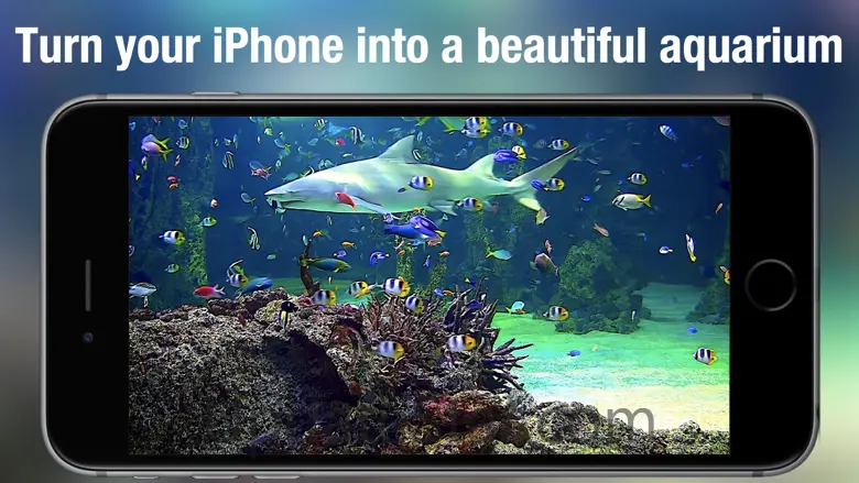Aquarium Live HD+ 4.0.0