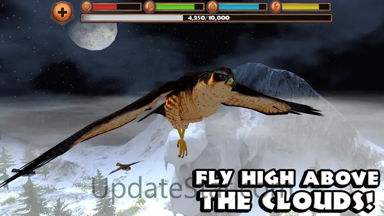 Falcon Simulator 1.1