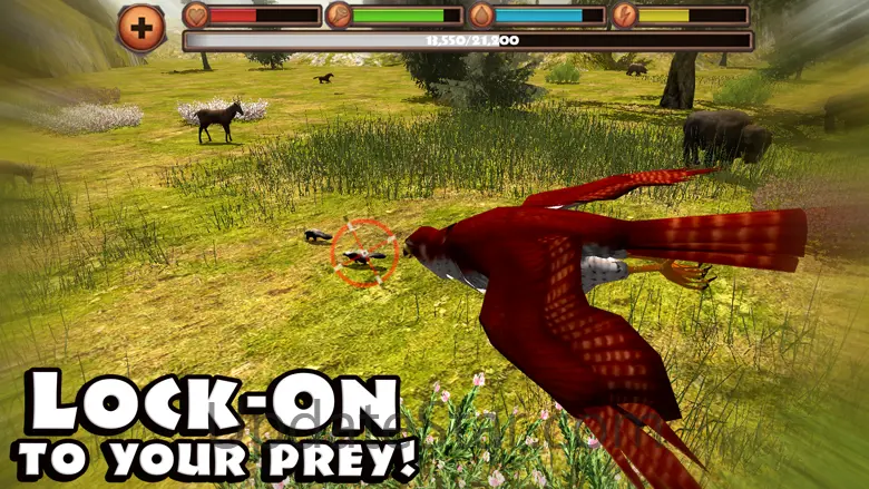 Falcon Simulator 1.1