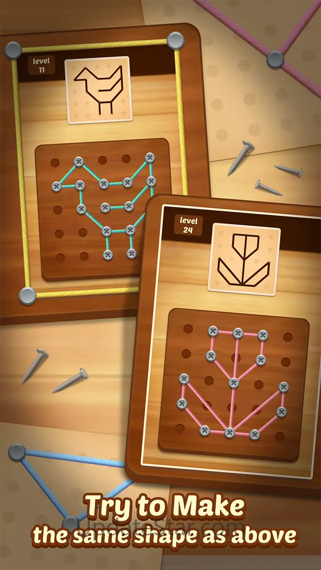 Line Puzzle: String Art 24.0419.01