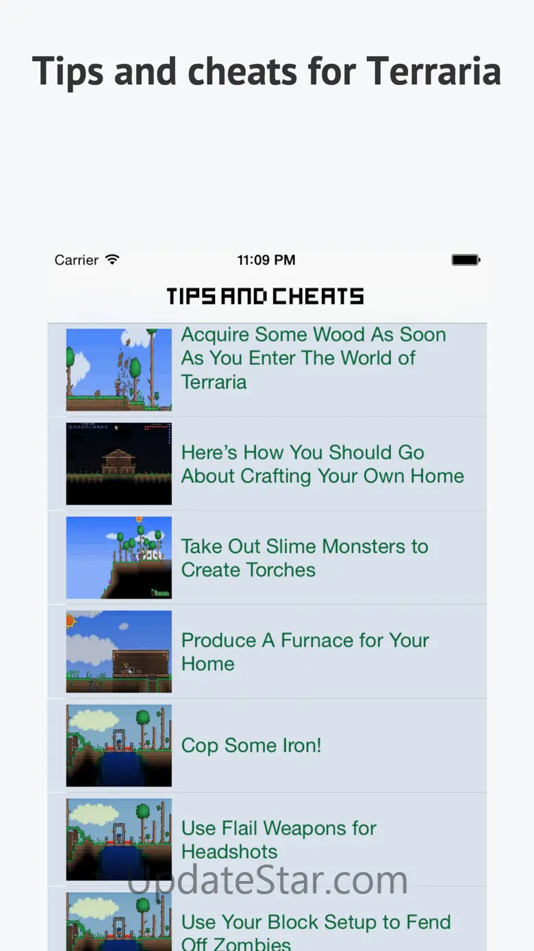Guide & Wiki for Terraria 2.5