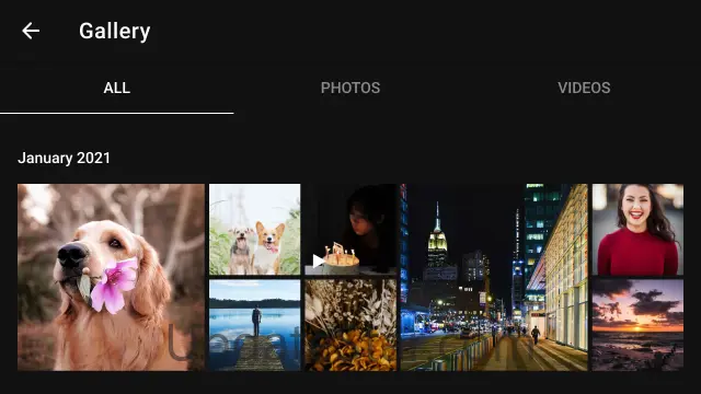 Zoom Camera 8.1.1