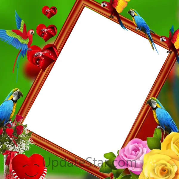 Parrot Insta DP 5.2